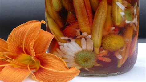 spicy-pickled-daylilies-and-daisies-recipe-edible-wild image