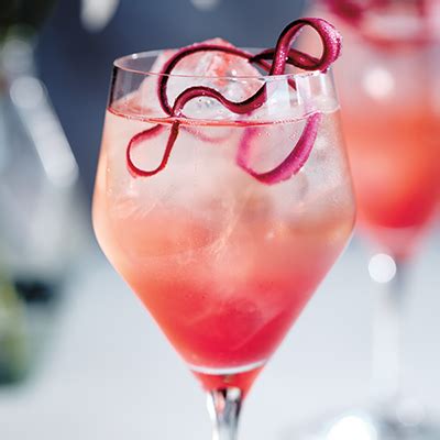 rhubarb-spritz-cocktail-recipe-bc-liquor-stores image