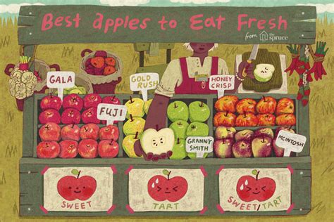 the-best-apple-varieties-for-eating-fresh image