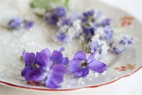 how-to-candy-violets-or-other-flowers-at-home-bois-de image