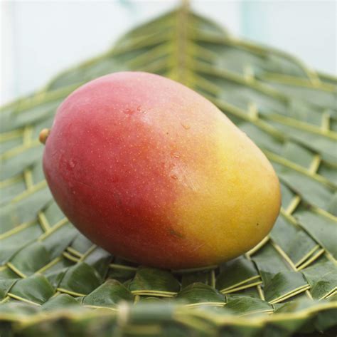 how-to-cut-and-prepare-fresh-mango-the-spruce-eats image