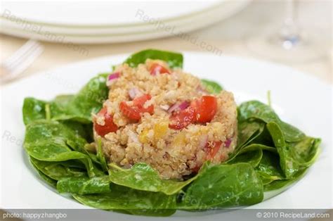 toasted-quinoa-salad-with-dried-apricots-cherry image