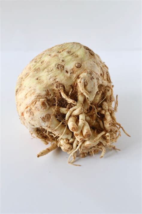 healthy-mashed-celery-root-recipe-little-chef-big image