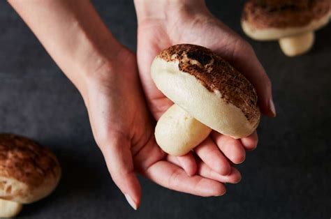 chocolate-mushroom-buns-recipe-king-arthur-baking image