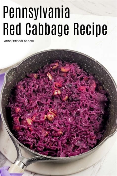 pennsylvania-red-cabbage-recipe-anns-entitled-life image