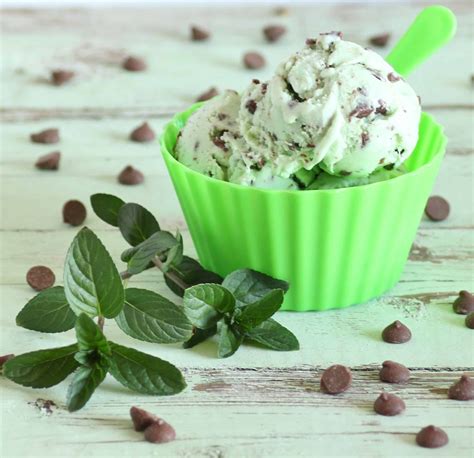 mint-chocolate-chip-ice-cream-noshing-with-the image