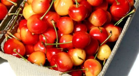 food-preservation-how-to-preserve-cherries image