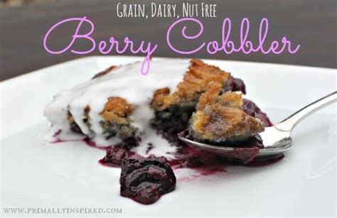 berry-cobbler-grain-dairy-nut-free-primally-inspired image