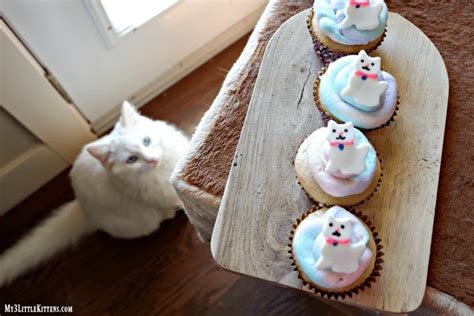 easy-kitty-cat-cupcakes-for-kids-my-3-little-kittens image