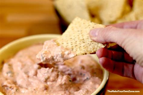2-ingredient-cream-cheese-salsa-dip-the-make-your image