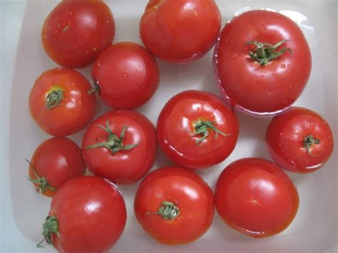 seasonal-recipe-jamie-olivers-tomato-consomm-kitchn image