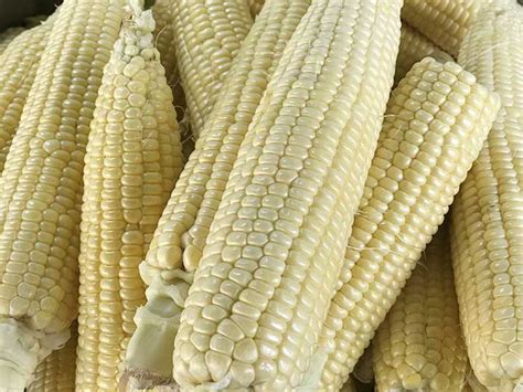 the-best-frozen-sweet-corn-recipe-how-to-make-freezer image