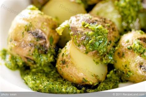 grilled-potato-and-parsley-pesto-salad image