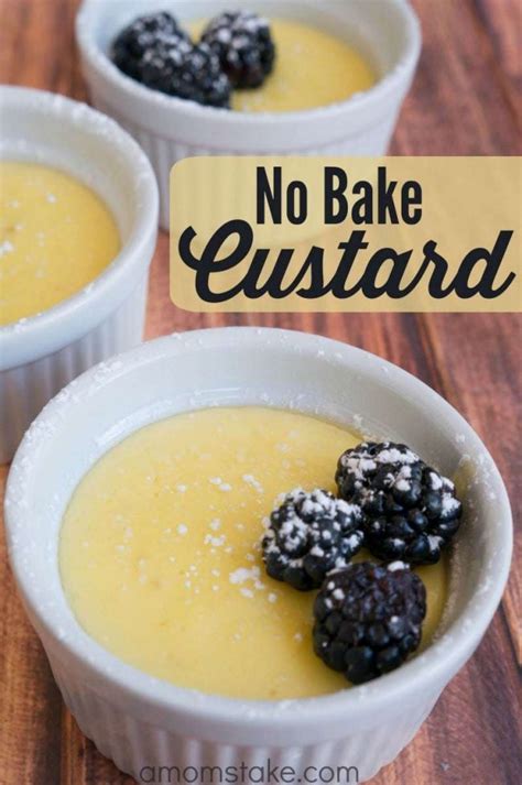 no-bake-vanilla-custard-recipe-a-moms-take image