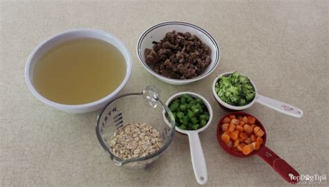recipe-venison-and-vegetable-stew-homemade-dog image