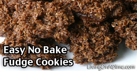 easy-no-bake-fudge-cookies-recipe-living-on-a-dime image