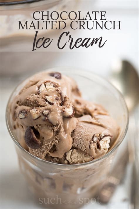 homemade-chocolate-malted-crunch-ice-cream image
