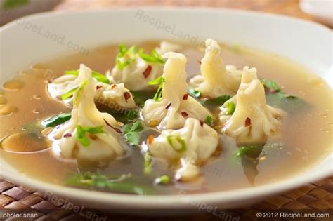 amazing-shrimp-wonton-soup-recipe-recipelandcom image