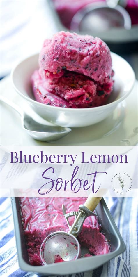 blueberry-lemon-sorbet-carries-experimental-kitchen image