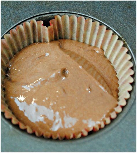 decadent-mocha-salted-caramel-cupcakes-food-fun image