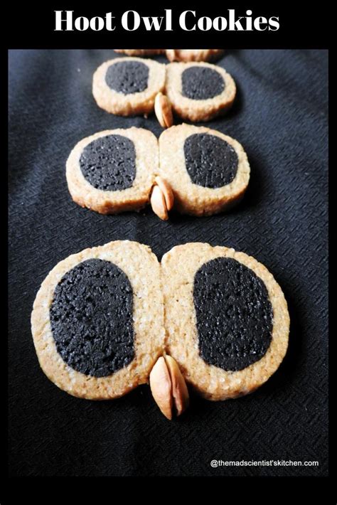 hoot-owl-cookies-for-halloween-the-mad-scientists image