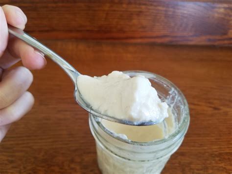stupidly-easy-homemade-non-dairy-yogurt-the image