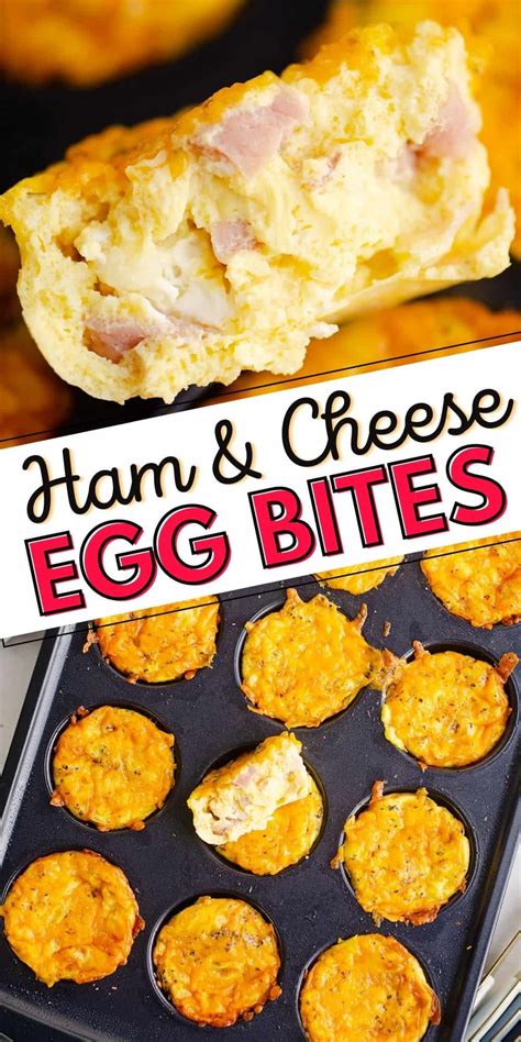 ham-cheese-egg-bites-the-creative-bite image