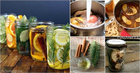 18-simmering-potpourri-recipes-to-make-your-home image