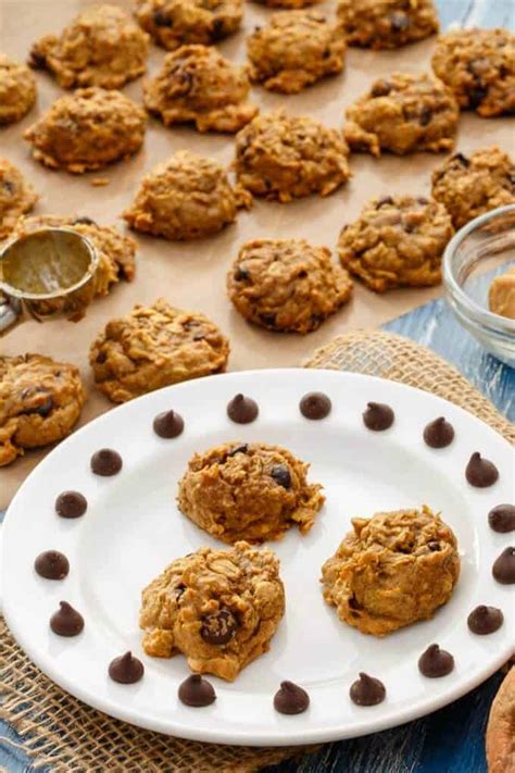 sweet-potato-chocolate-chip-cookies-the-cookie-writer image