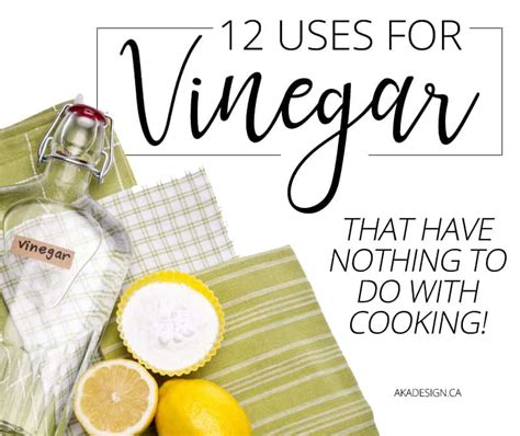 12-uses-for-vinegar-that-have-nothing-to-do-with-cooking image
