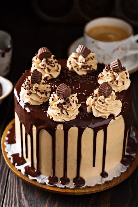 chocolate-peanut-butter-cake-the-novice-chef image