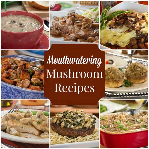 35-mouthwatering-mushroom-recipes-mrfoodcom image