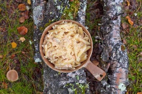 easy-cheesy-salmon-pasta-backpacking-meals-trail image