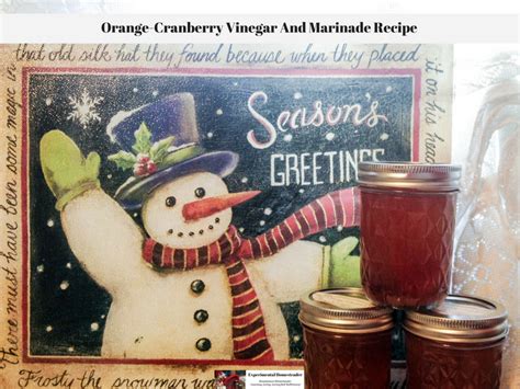 orange-cranberry-vinegar-and-marinade image