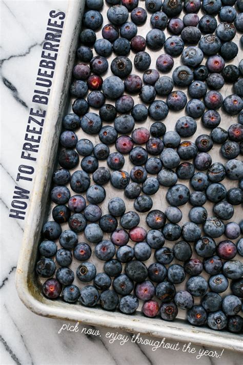 kitchen-basics-how-to-freeze-blueberries-love-and image