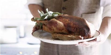roast-goose-recipe-with-sage-and-onion-stuffing image