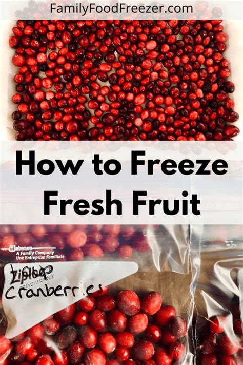 how-to-freeze-cranberries-freezing-fresh-cranberries image