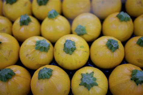 what-are-lemon-squash-and-how-are-they-used-the image