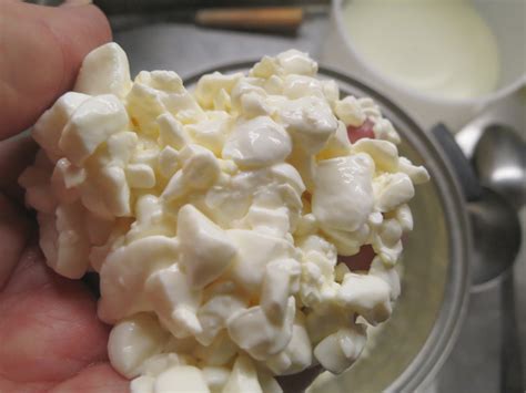 dry-curd-cottage-cheese-cheese-maker image