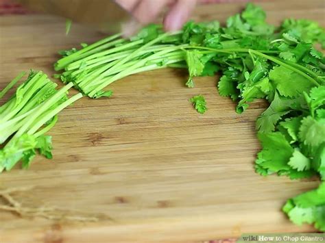 how-to-chop-cilantro-10-steps-with-pictures-wikihow image
