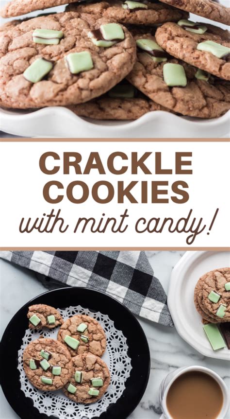 chocolate-mint-crackle-cookies-recipe-3-boys-and-a image