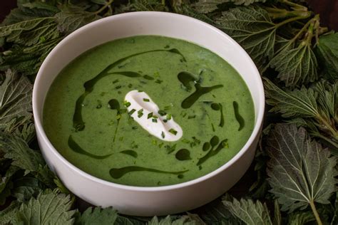 classic-stinging-nettle-soup-recipe-forager-chef image