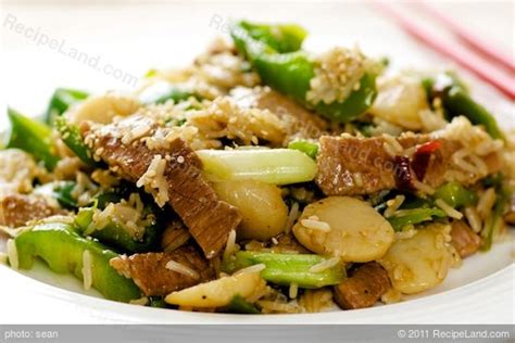shanghai-beef-recipe-recipeland image