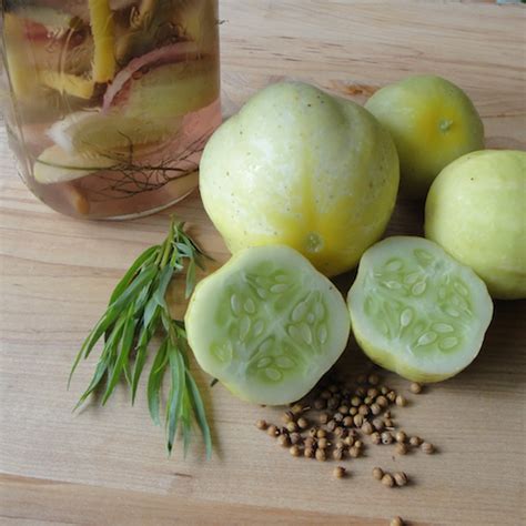 easy-lemon-cucumber-refrigerator-pickles-insteading image