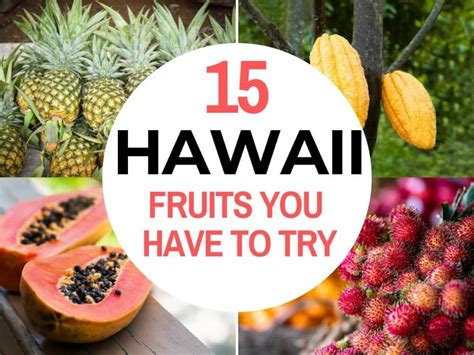 15-amazing-hawaiian-fruits-you-have-to-try-hawaii image