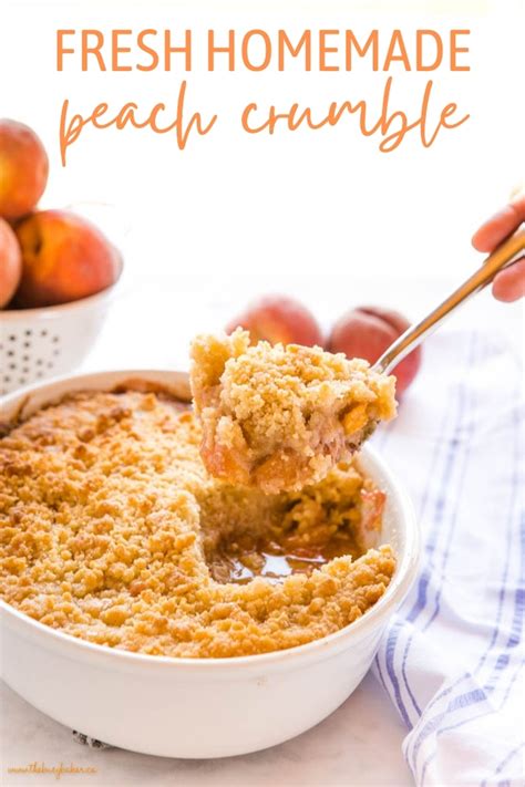 peach-crumble-with-fresh-peaches-the-busy-baker image