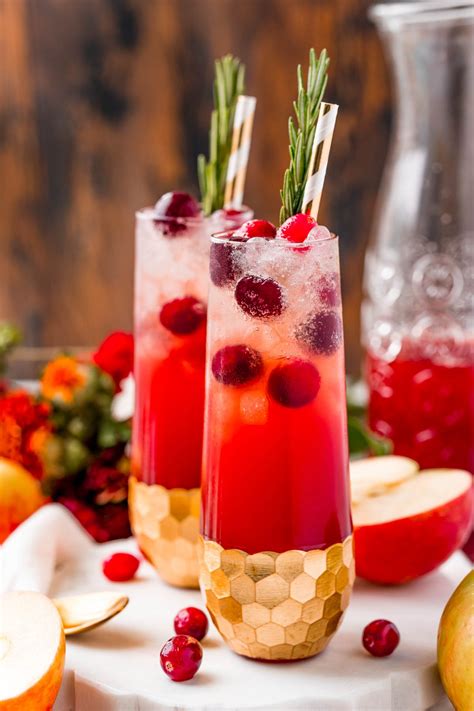 cranberry-apple-cider-punch-non-alcoholic image