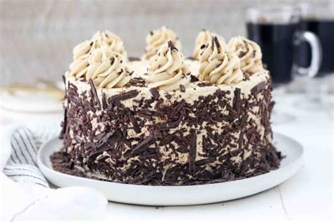 chocolate-mocha-cake-recipe-food-fanatic image