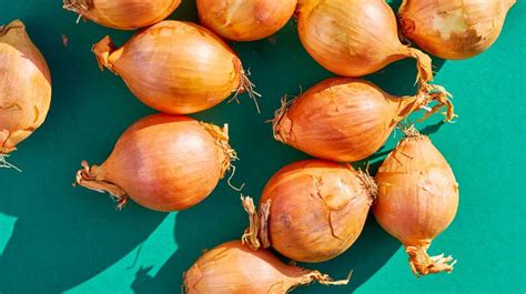 onions-101-nutrition-facts-and-health-effects image