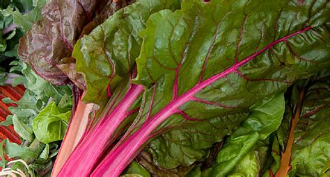 swiss-chard-italian-wraps-recipe-vegetable-and-side image